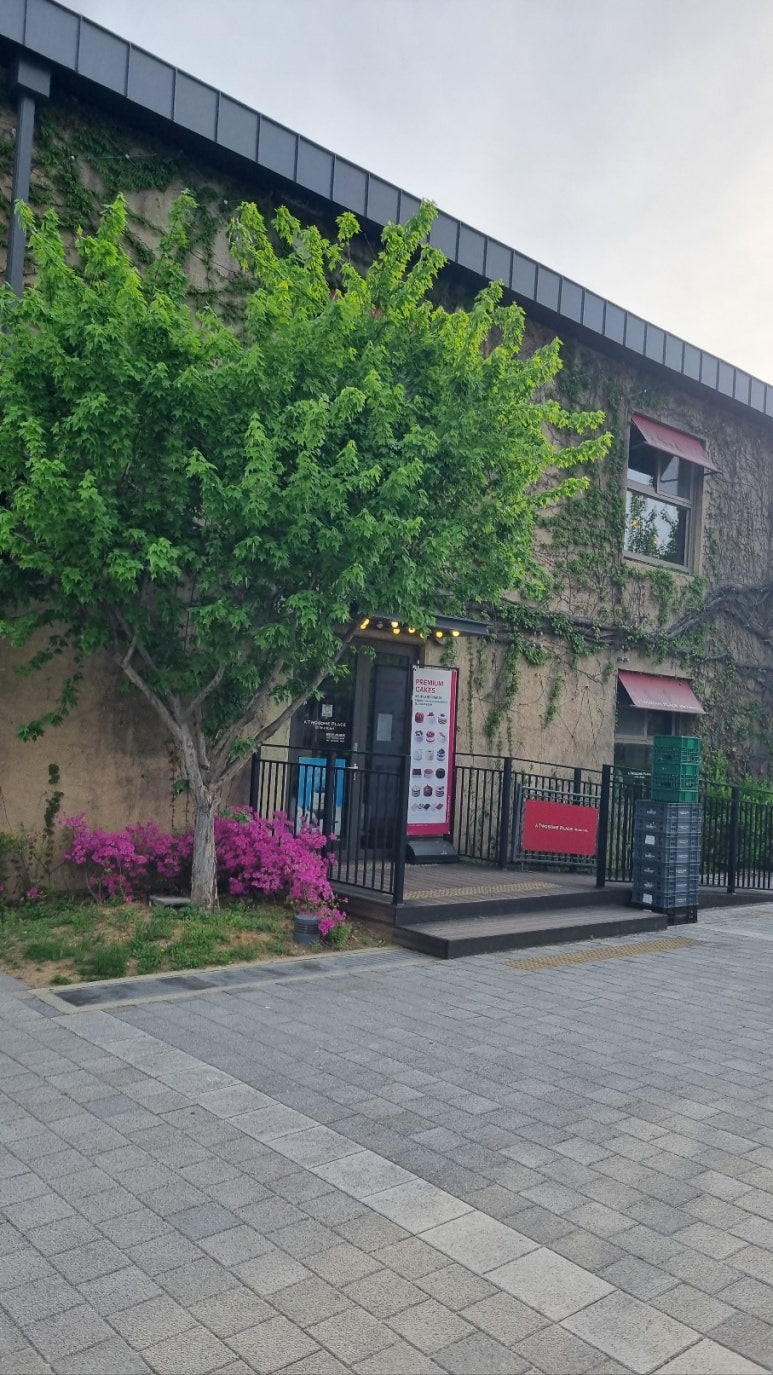 투썸플레이스대구 이미지