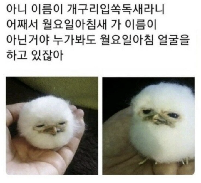 상영인테리어 이미지