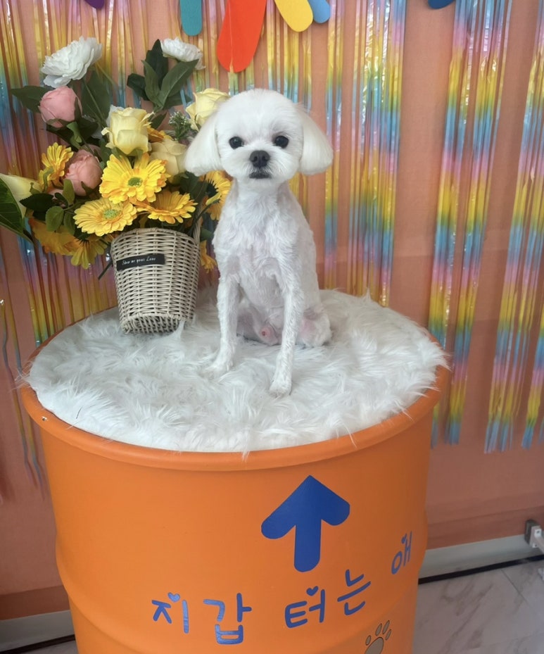 에바가위컷 전문점 이미지