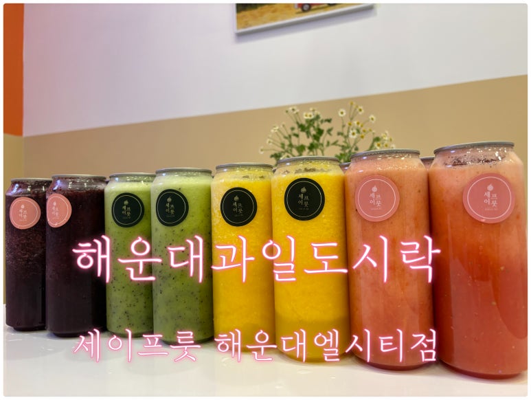 세이프룻 이미지