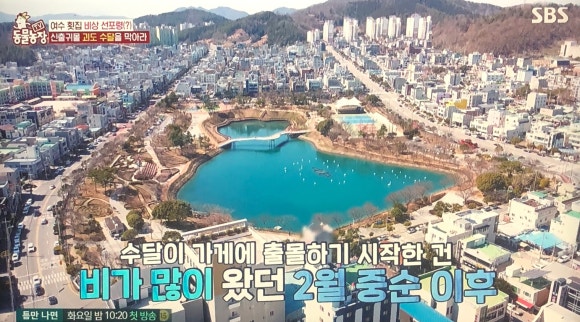 차가네통큰해물삼합 이미지