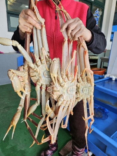 소영횟집 이미지