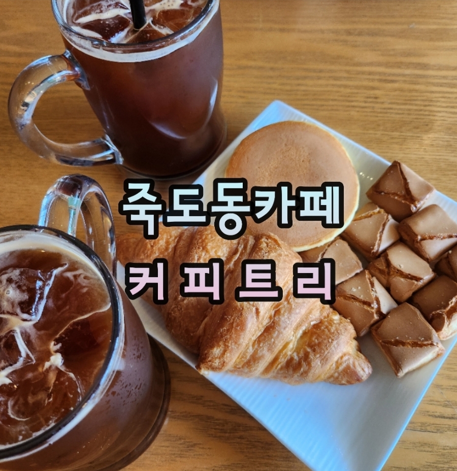 커피트리(COFFEE TREE) 이미지