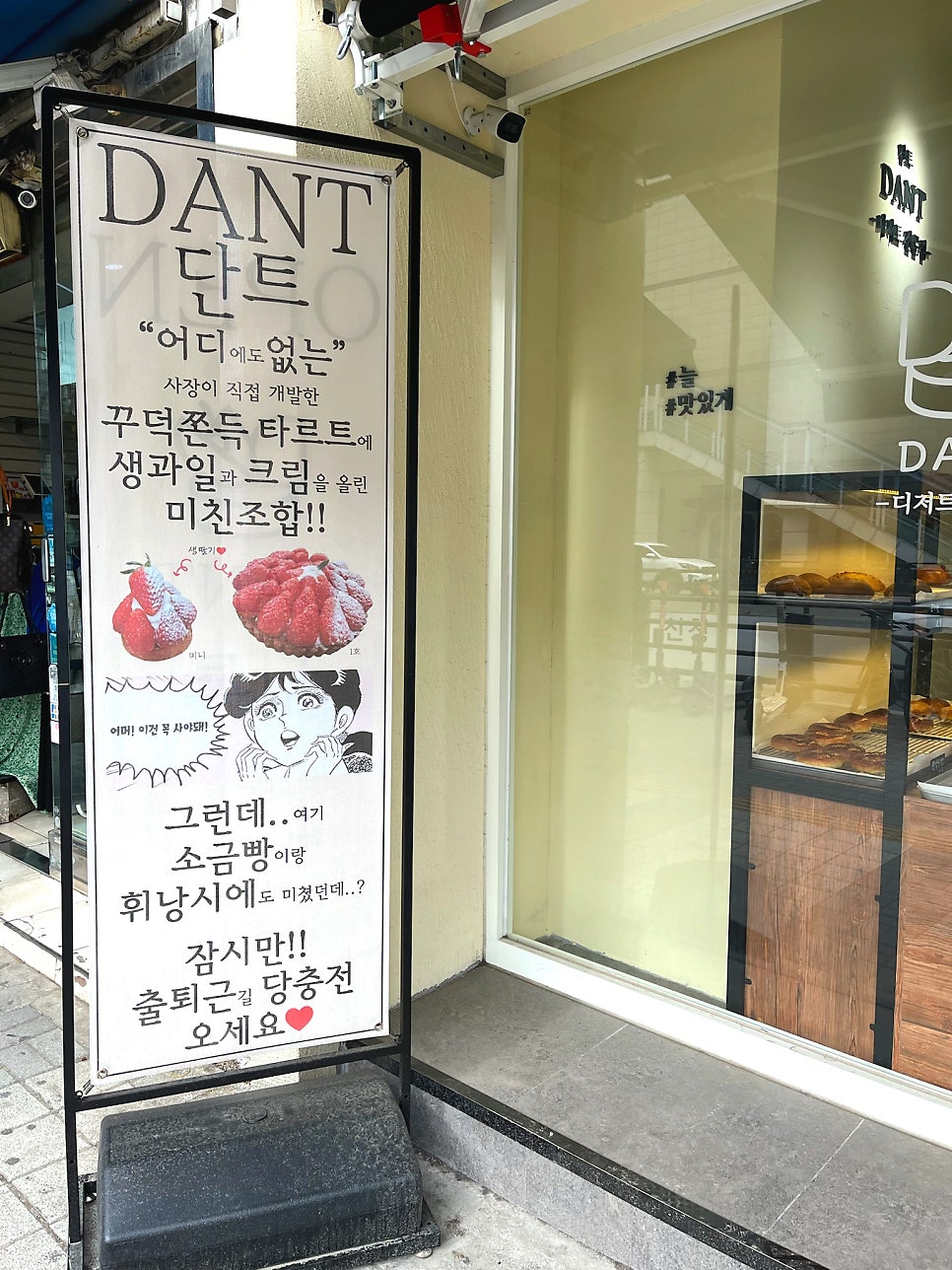 단트(DANT) 이미지