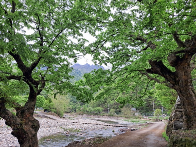 용화수산 이미지