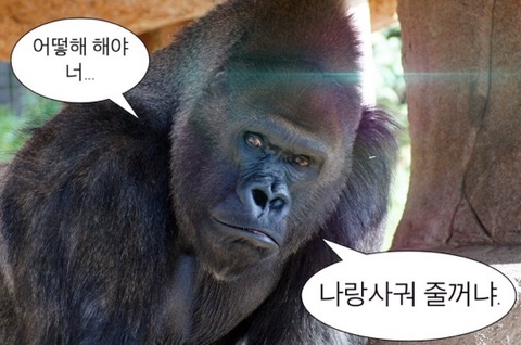 김공주 이미지