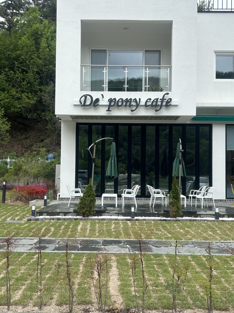 디포니 이미지