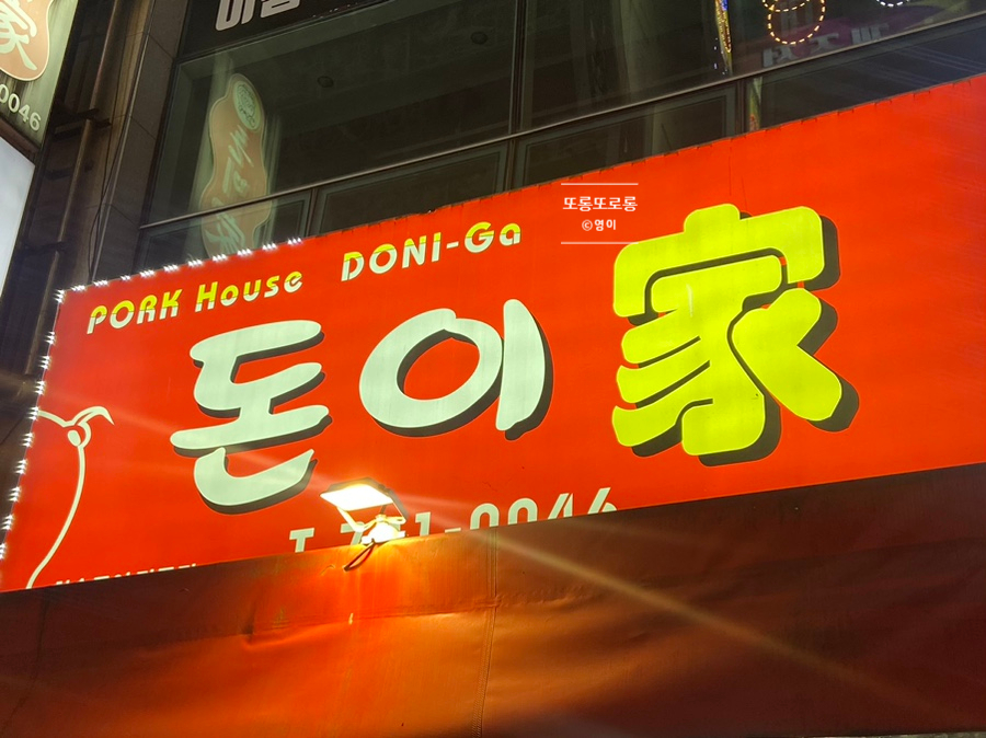 돈이가 이미지