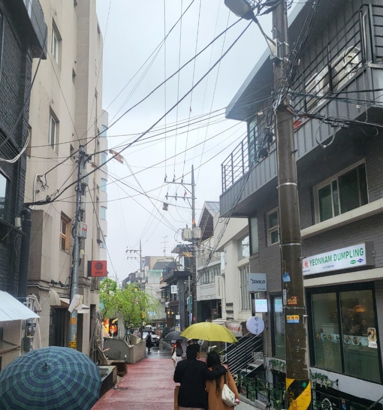 카멜로연남(CAMELLO) 이미지