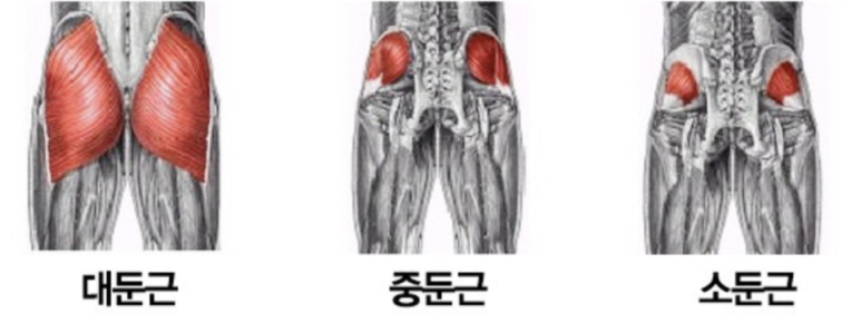 클램 이미지