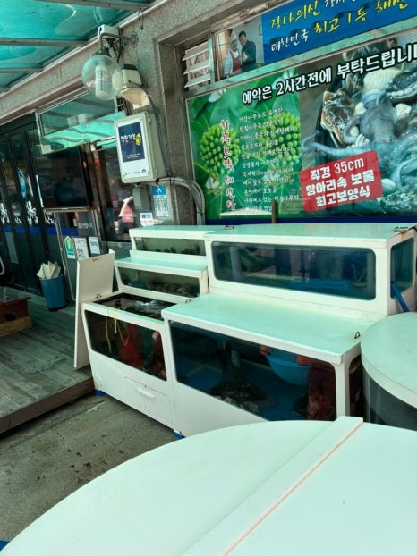힘찬비빔밥 이미지