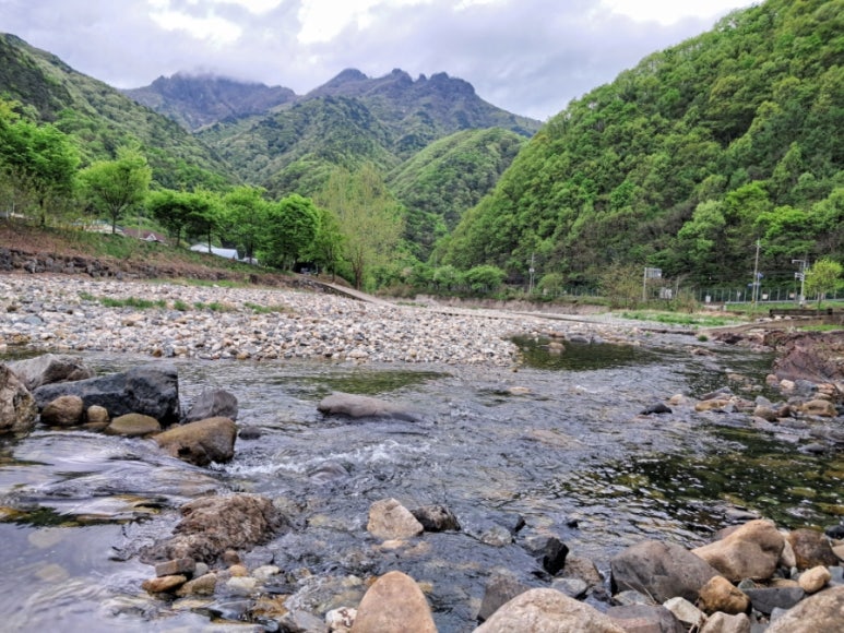 용화수산 이미지
