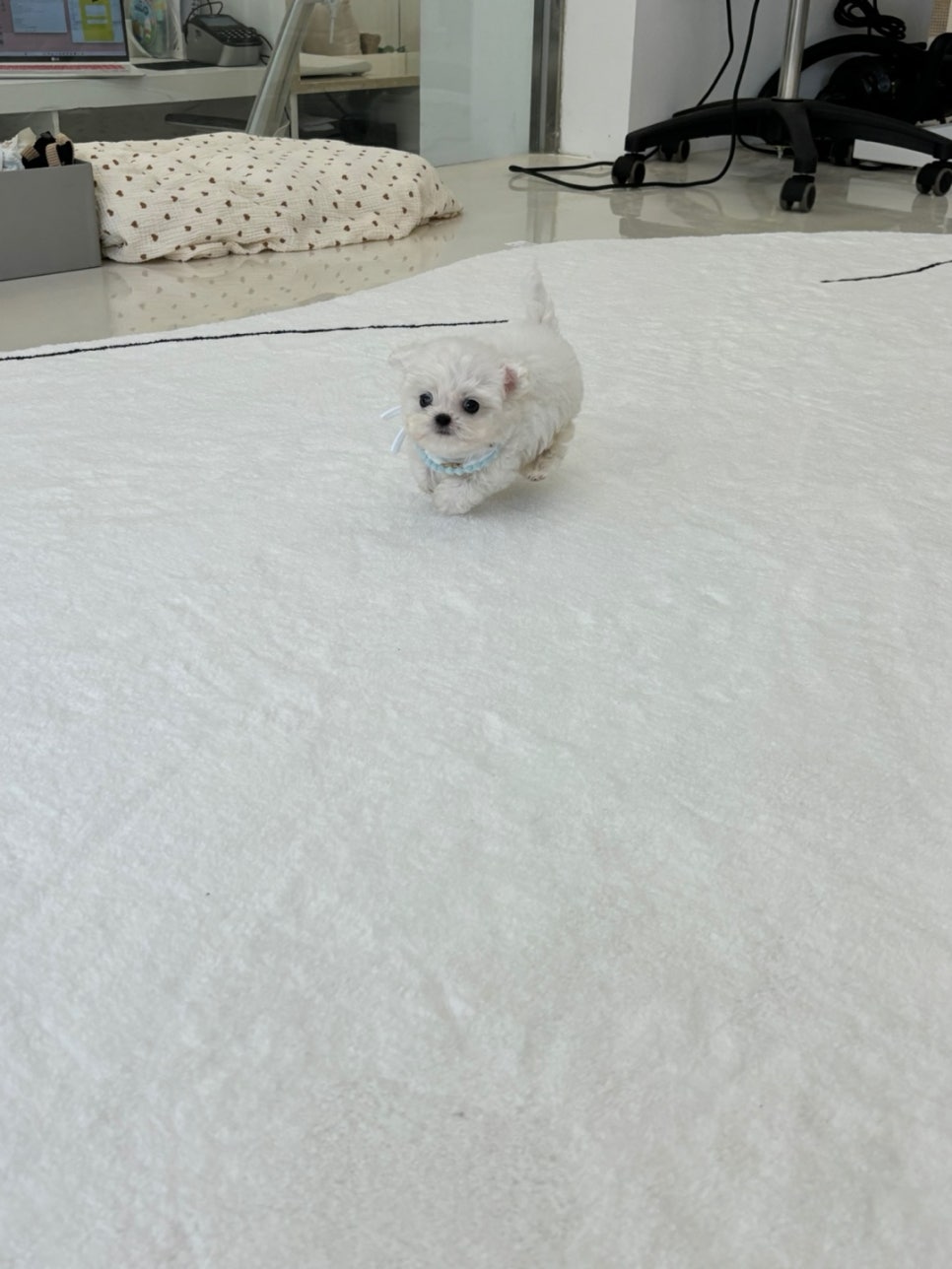 디어룸(Dear:oom) 이미지