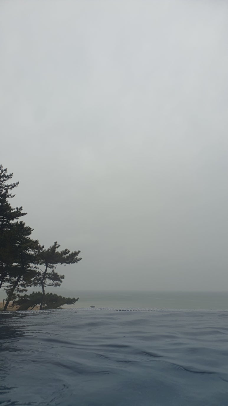 솔표라이프 이미지