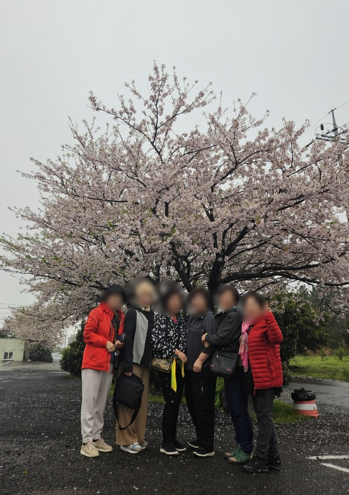 친절한송실장투어(힐링앤제주) 이미지