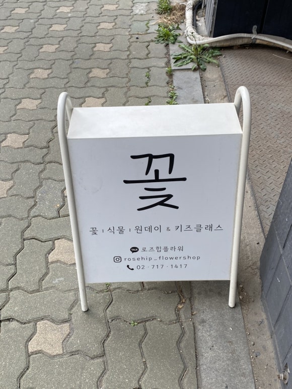 로즈힙플라워 이미지
