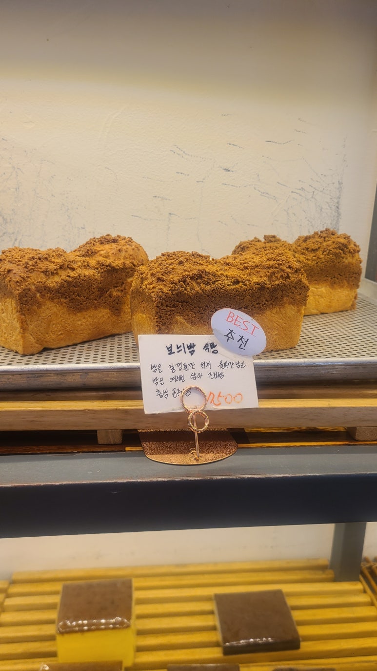 파니피카 이미지