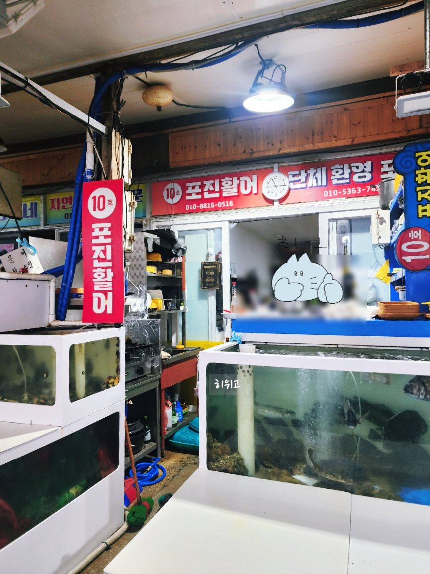 포진활어 이미지