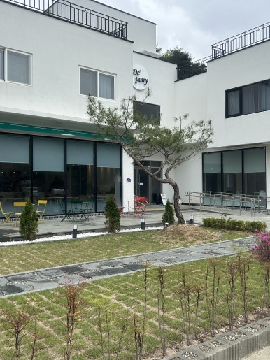 디포니 이미지