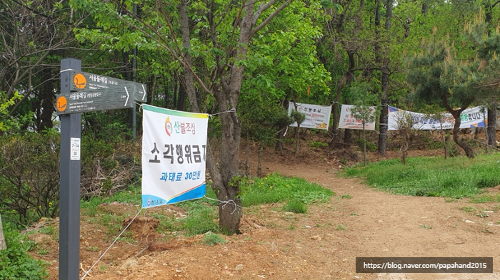 초이휴캠피장 이미지