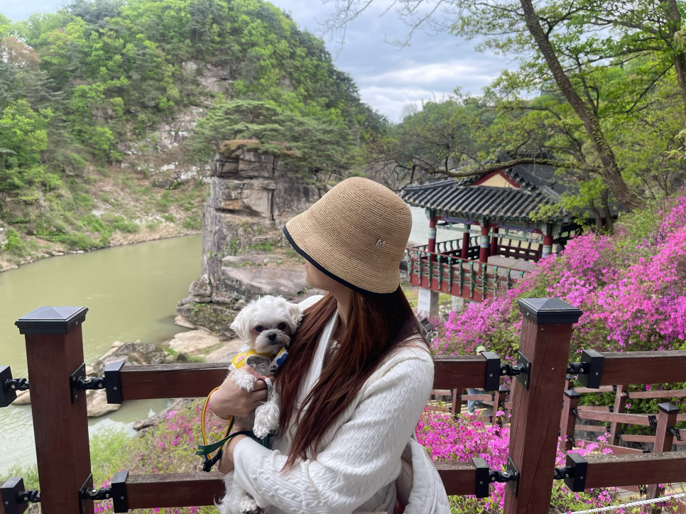 K-래프팅 이미지