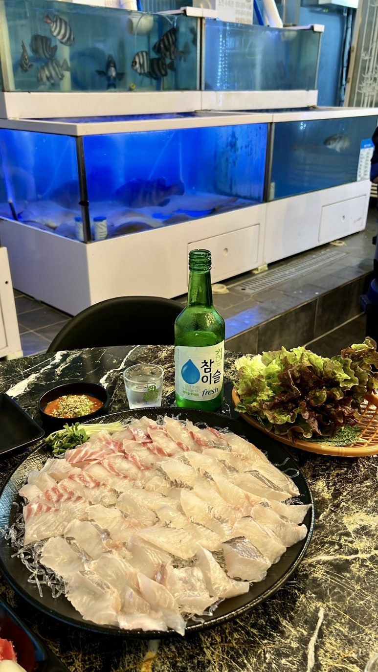 회조아 이미지