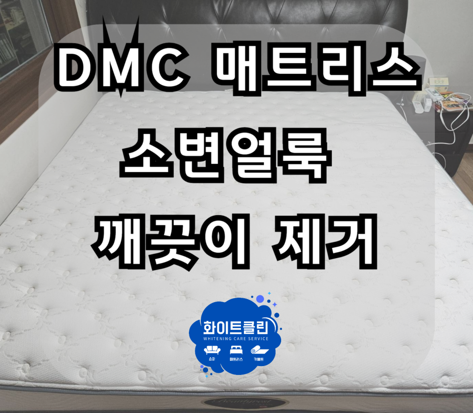 쇼파매트리스카페트청소화이트클린 이미지