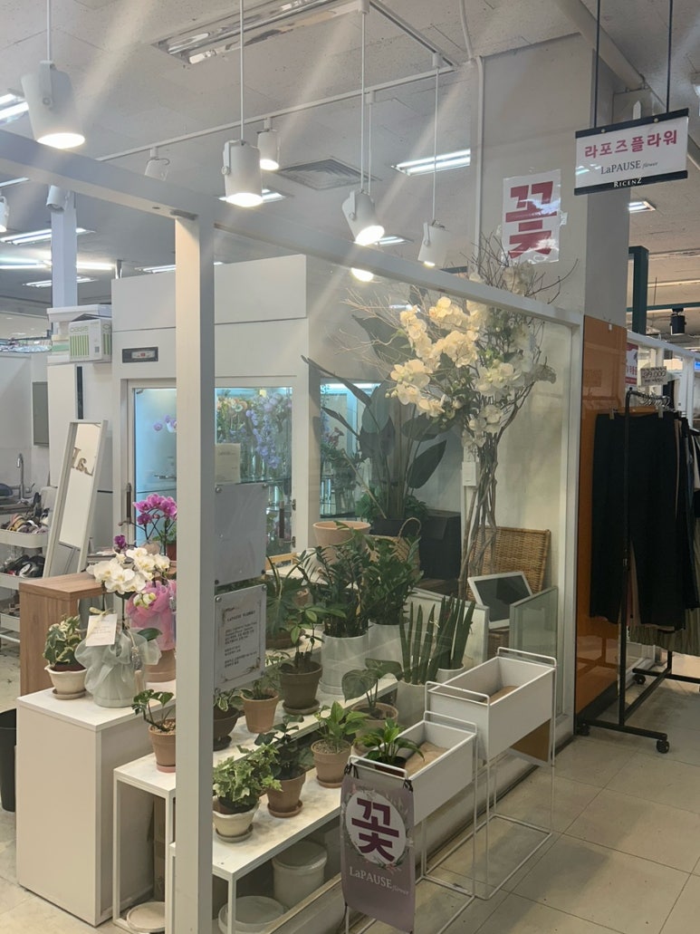라포즈플라워 이미지