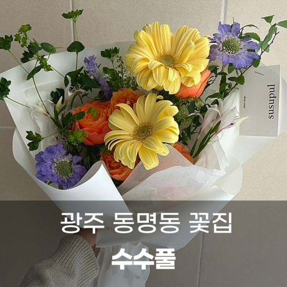 수수풀 이미지