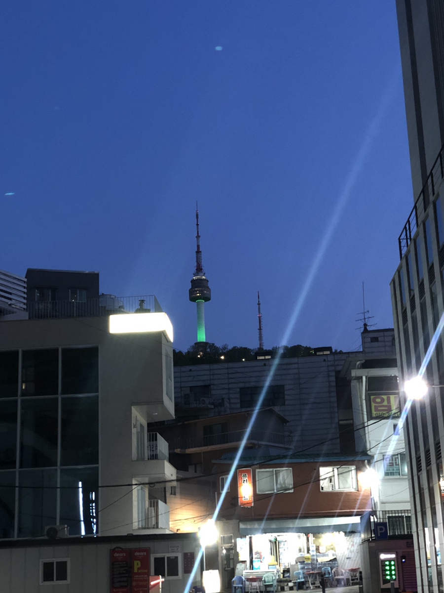 진포레스트인 이미지