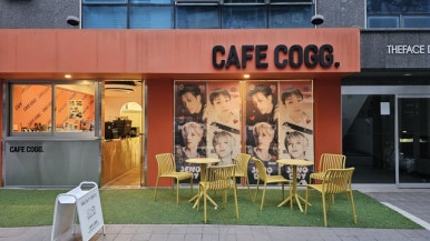코그.(cogg.) 이미지