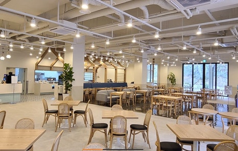 동강 디자인 이미지