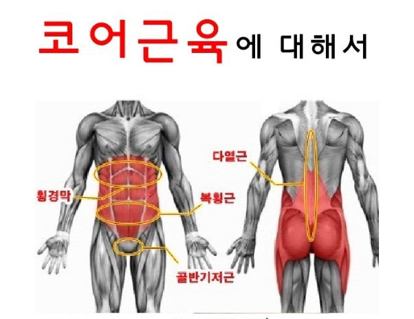 플랫폼필라테스 이미지
