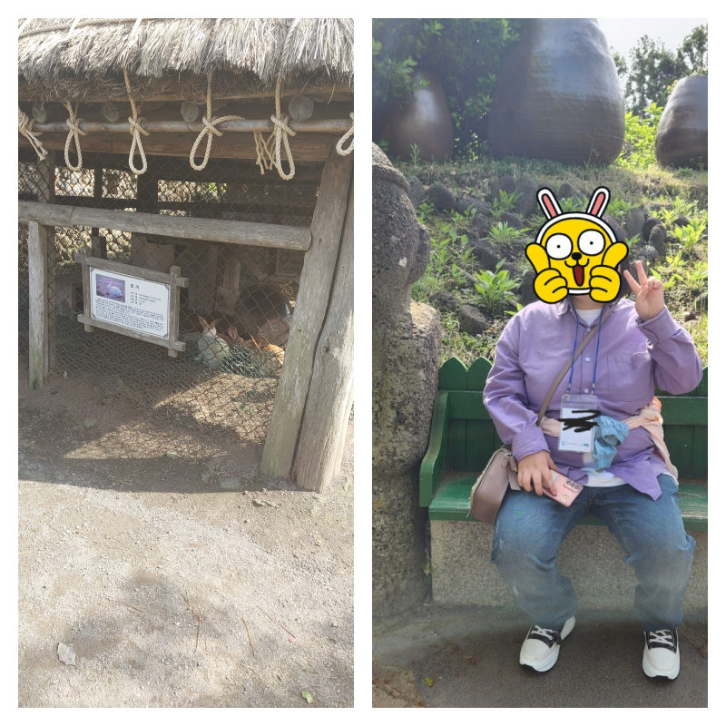 (주)누리여행사 이미지