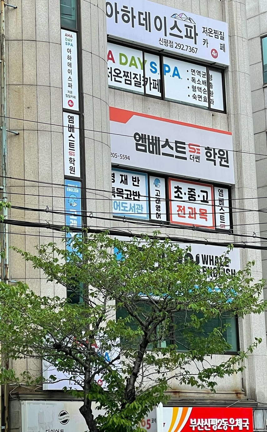 아하데이스파 이미지