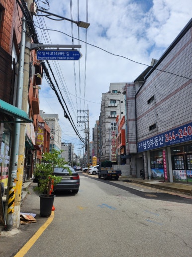 사카나 사진 6