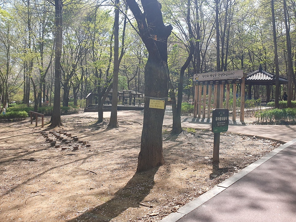꿩고개 유아숲체험원 이미지