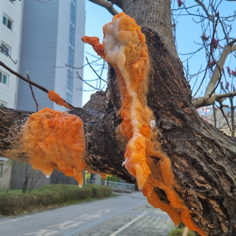 지산아이앤씨주 이미지