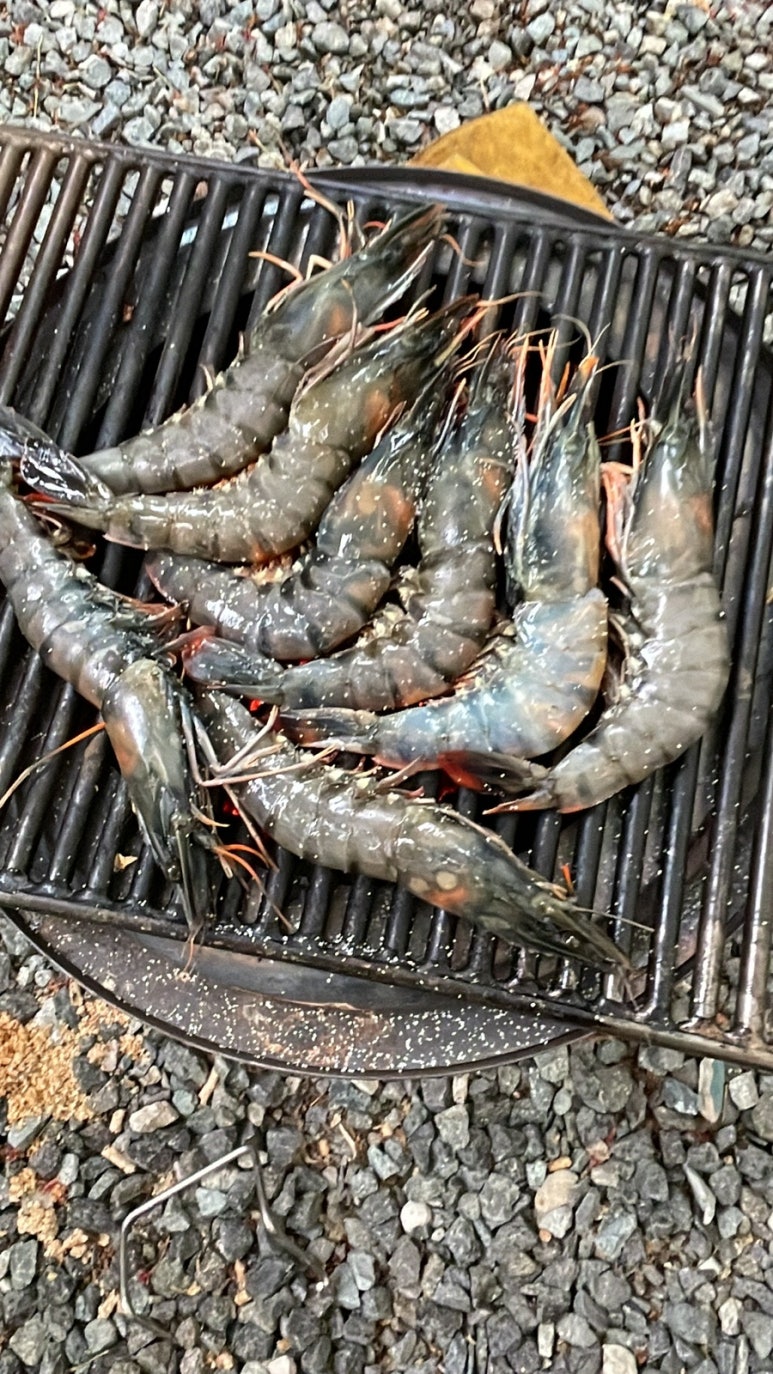 캠핑 돗가비 이미지