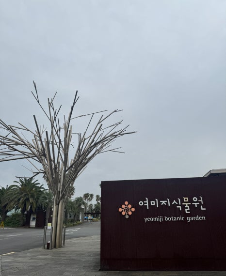 연세차내과의원 이미지