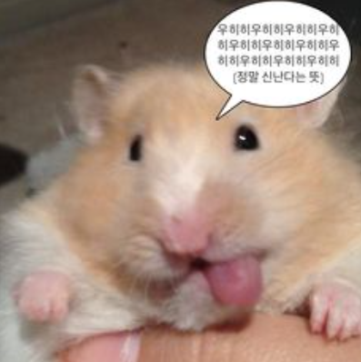 광동비타500 이미지