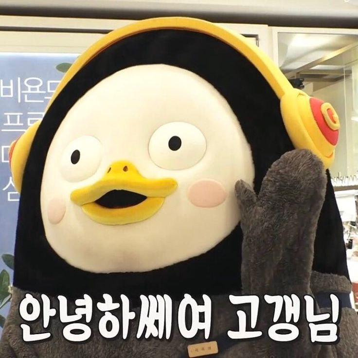 태닝아일랜드 이미지