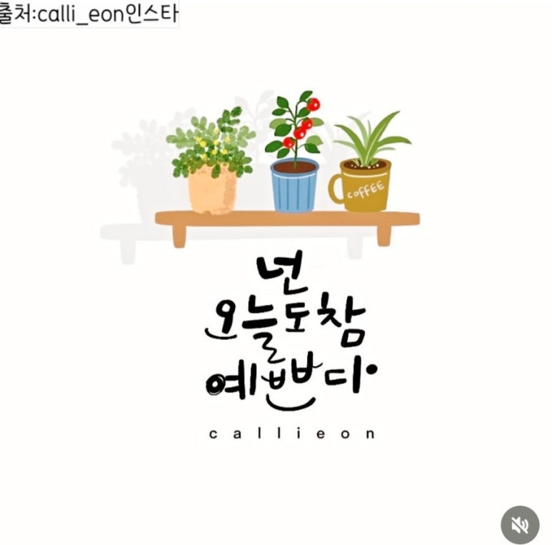 오늘도 참 예쁘다 이미지