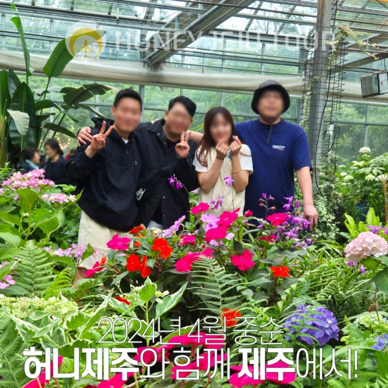 제주다정여행사 이미지