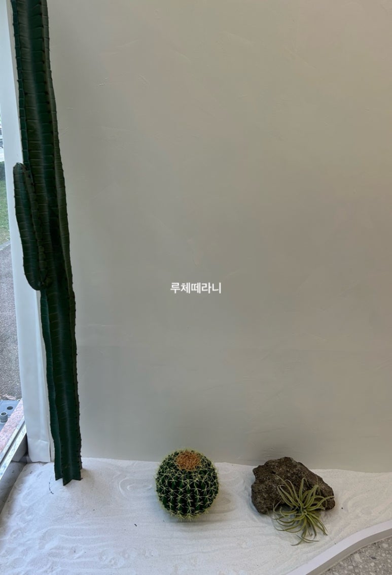 율리스네일 이미지