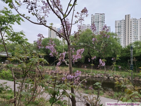 오동화랑 이미지