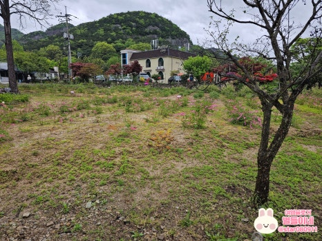 내소사 시골장터 이미지