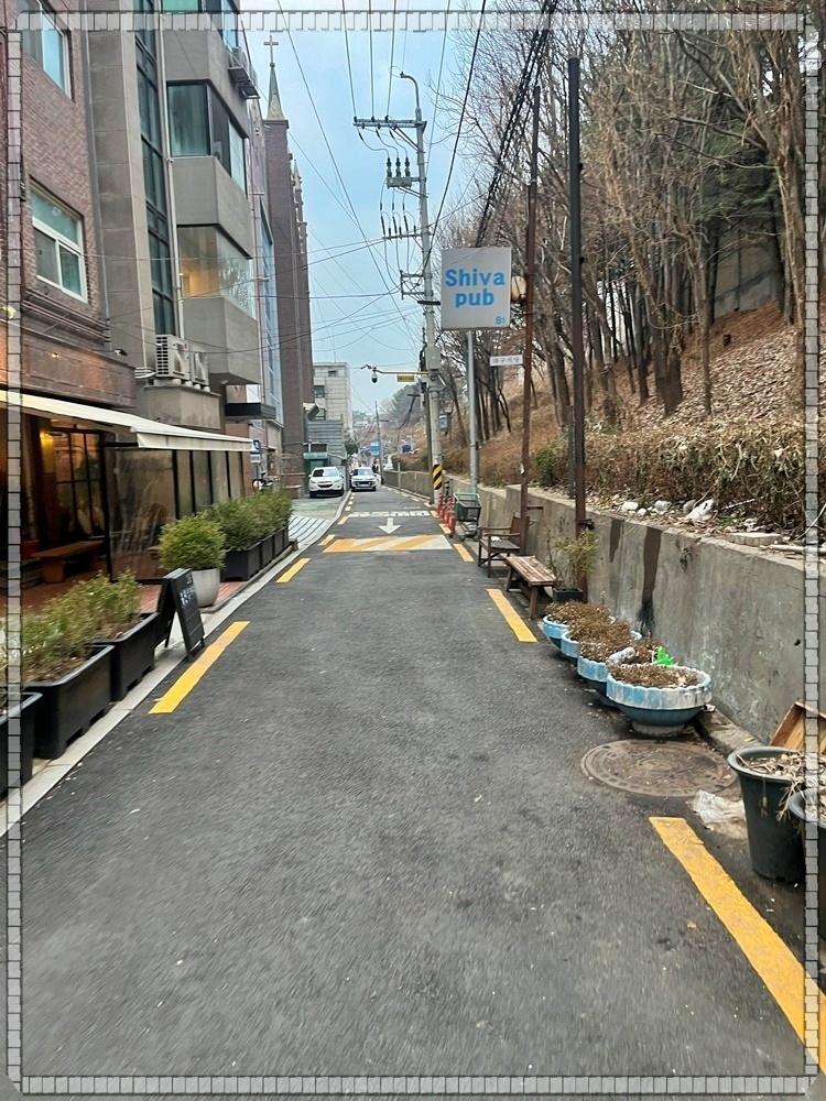 마치숲 이미지