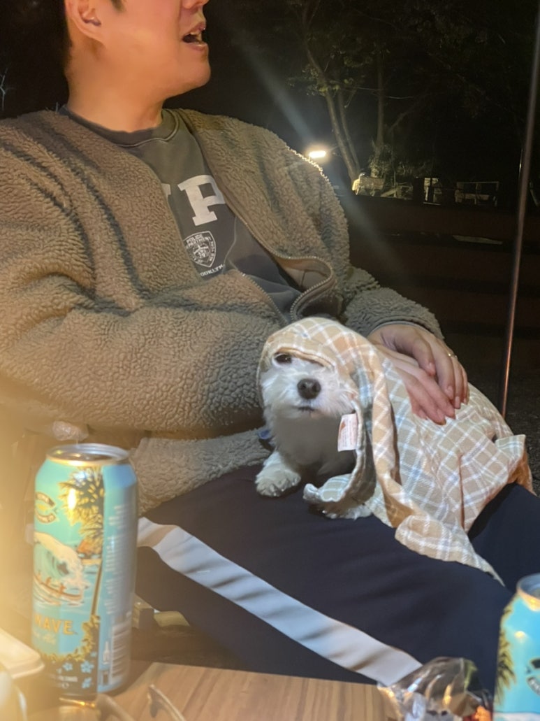 반디하우스캠핑장 이미지