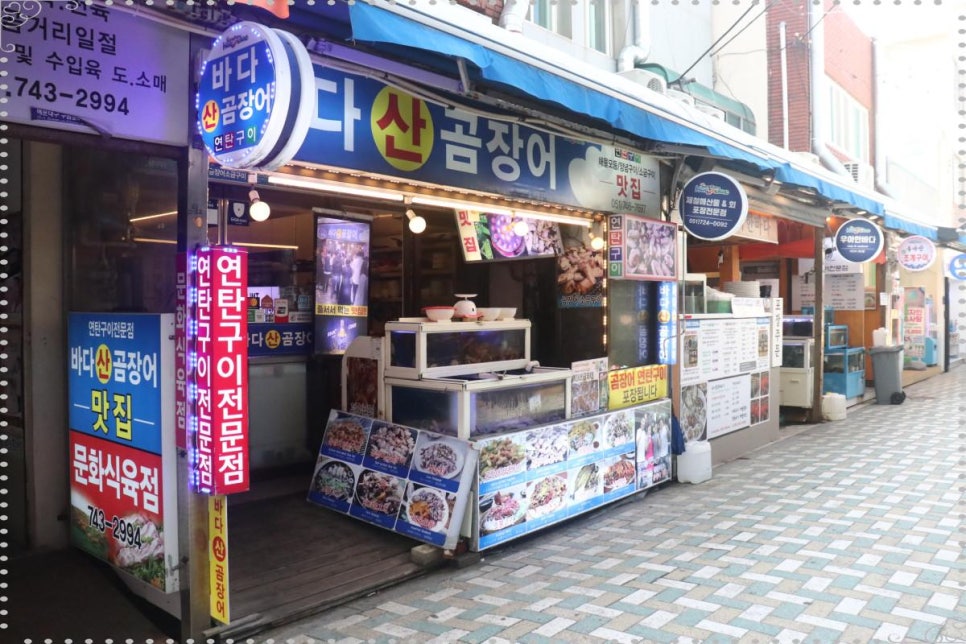 살아있네산곰장어 이미지